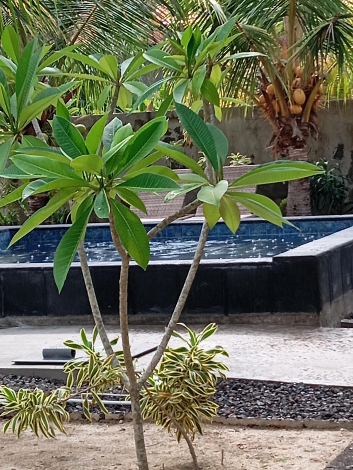 Belong Home Stay Lembongan Exterior photo
